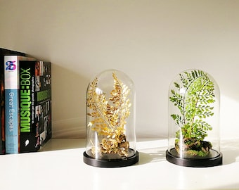 Forest of artificial plants, Cabinet of curiosities, dome terrarium cloche glass, Christmas birthday gift, Garden decor