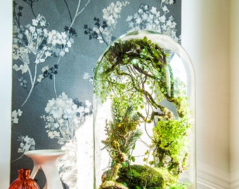 Artificial plants forest terrarium, Cabinet of curiosities, dome Bell glass, birthday gift wedding, Christmas decoration