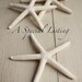 Special Listing For Amy , Large Shabby White Pulls , Large Knobs , Floral Knobs , Kitchen Hardware