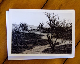 Scorched! Greeting Card