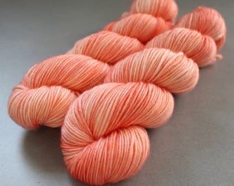Grizzly - "Coral" - DK Weight Superwash Merino