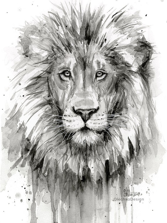 Lion watercolor painting black and white lion art print Lion watercolor painting black and white lion art print