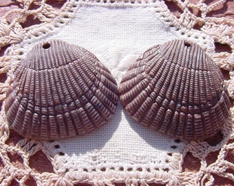 Cocoa Detailed Clamshells Vintage Lucite Seashell Pendants