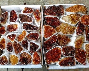 Small Citrine Clusters Irradiated Citrine Raw Crystals Garden Flower Pot Stones Rich Amber Colored Crystal Boho Decor Raw Crystal Collection