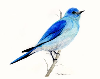 Mountain Blue Bird Archival Print of Original Watercolor 8x10 Aqua Blue Gray Home Office Decor Nature.