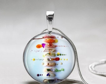 Sushi Necklace - sushi jewelry - Gift for Sushi Lover -Sushi Pendant