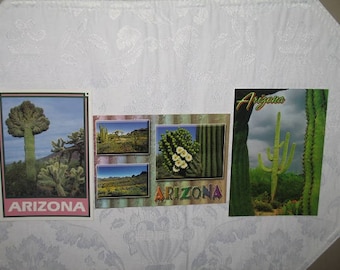 Set of 3 Arizona Postcards