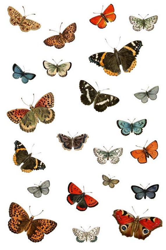 Vintage Butterfly Wallpaper