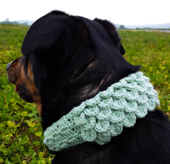 Crochet Collar With Existing Dog Collar Crochet Collar With Existing Dog Collar