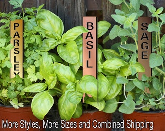 BARGAIN 08in SILVER FRENCH Straight-Up Metalgraph Acrylic Herb Garden Stakes Plant Markers