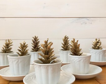 Ironstone Cup & Saucer Set