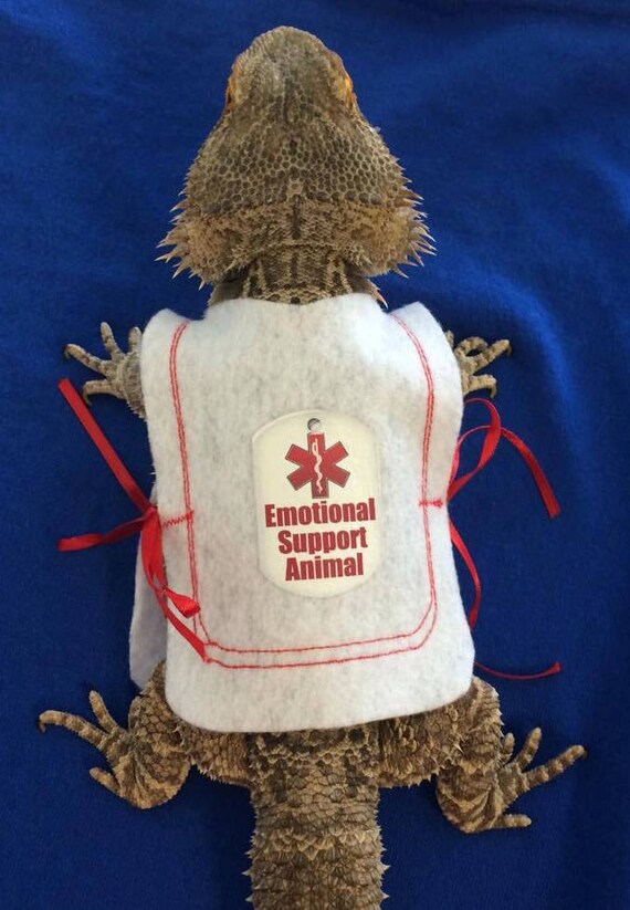 Emotional Support Animal Vest for Bearded Dragons. One size