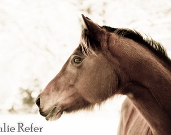 Horse Photography, Horse Art, Sepia Horse, Western Decor
