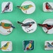 Birds Russia,Children's Button,Fauna,Animals. Soviet Pins, Soviet Badges. Collection Metal Badges. Made in USSR.