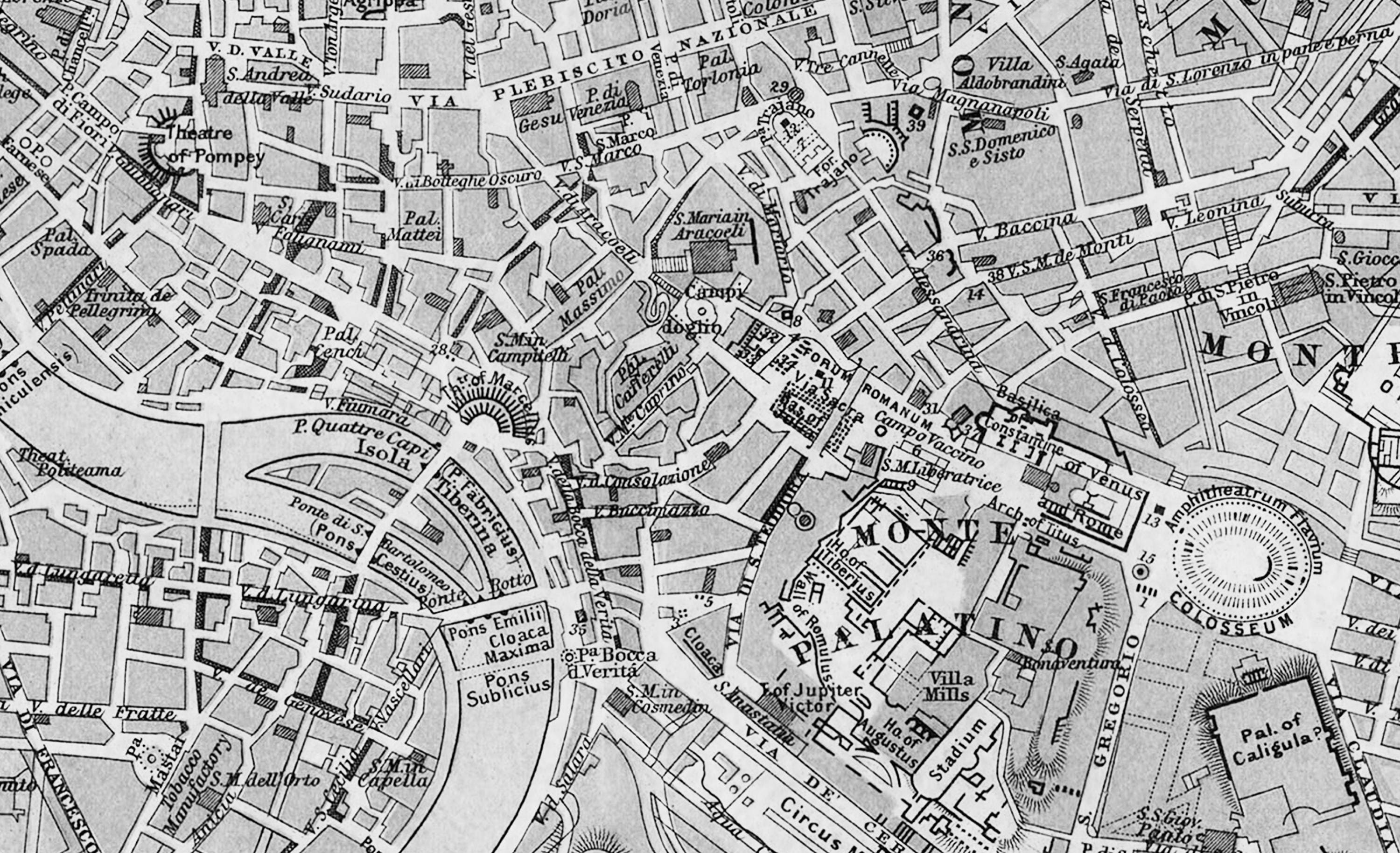 Rome city essay image