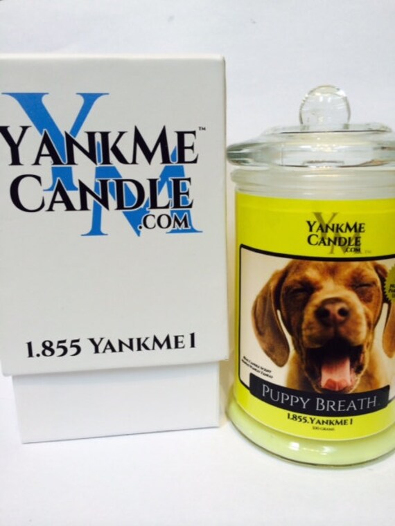 Funny Candle Names. 100 .Soy jar candle with 15 funny candle