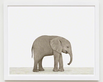 Baby Elephant Animal Nursery Art Print. Baby Elephant. Safari Animal Wall Art. Animal Nursery Decor. Baby Animal Photo.