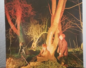 Echo & The Bunnymen – (ORIGINAL ’80) Crocodiles LP