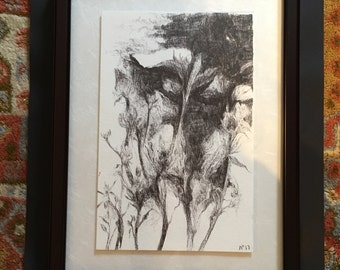 Chiaroscuro 2