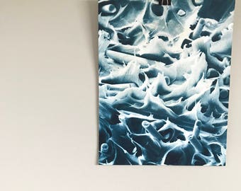Art in Science - print. " Fiber-Filled Resin"