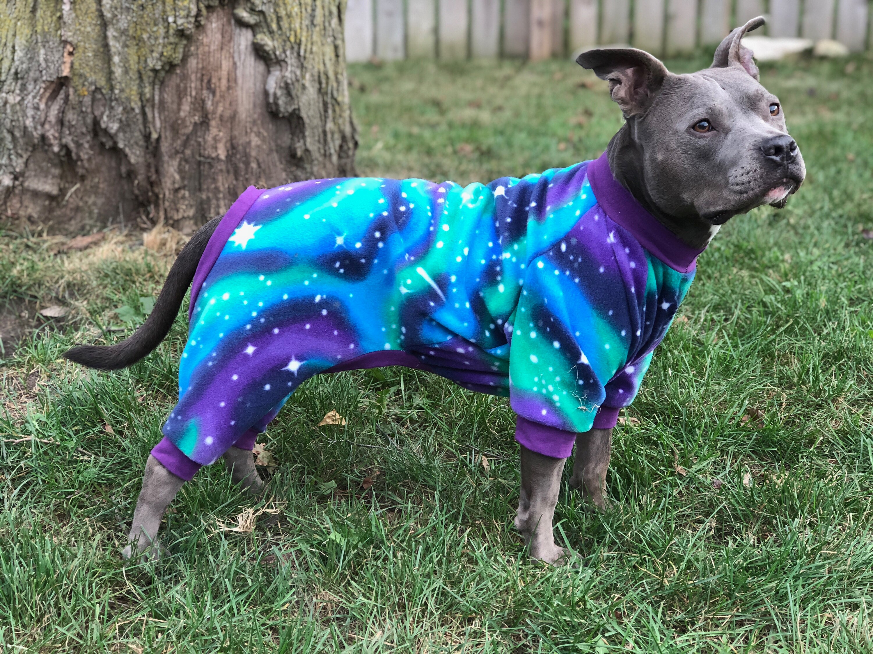 Dog Pajamas Fleece Dog Pajamas Dog PJs Dog Jammies Dog