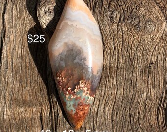 Prudent man agate from area number one