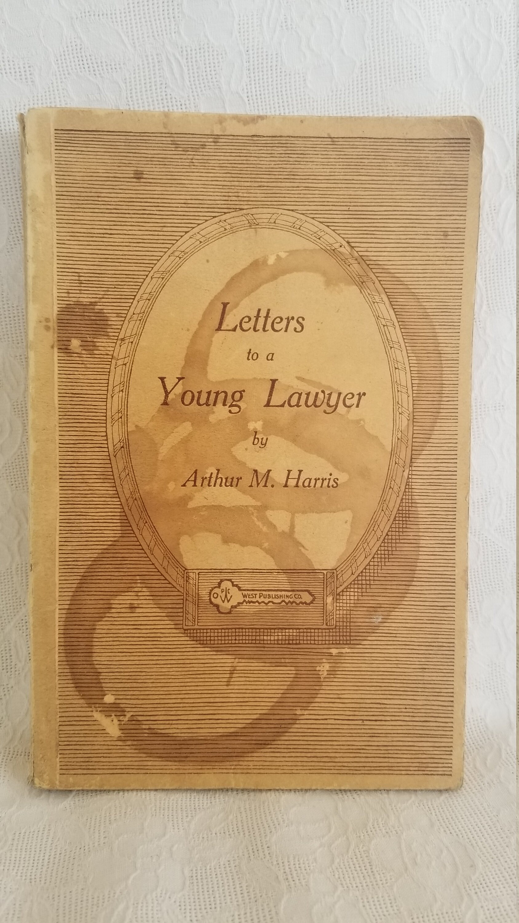 letters to a young lawyer
