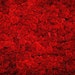 Red Rose Wall Backdrop - wedding, flower wall - Printed Fabric Photography Background G1364
