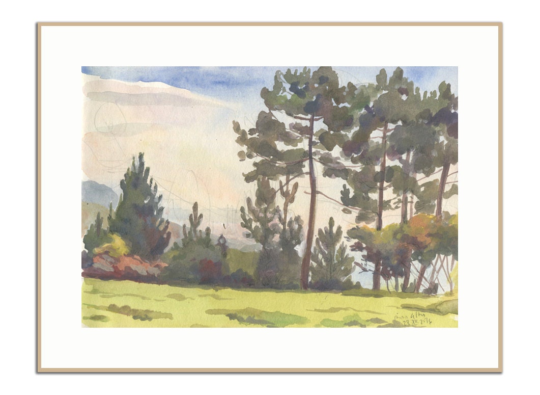 Pine woods PRINT color pencil drawing of green pine trees on