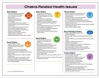 LAMINATED 7 Chakra Animal Pet Chart for Reiki Eastern Energy