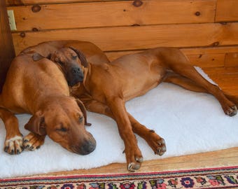 Perfect Vet Bedding Crate Pads