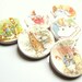 Peter Rabbit buttons Beatrix Potter 1 buttons
