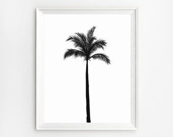 palm tree templates