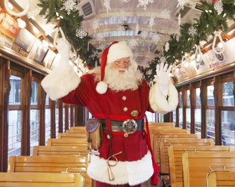 Professional "Cola" Style Santa Suit