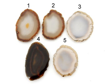 Agate Slices - Colorful Brown and Gray Agate Slice - You Choose (RK1B1-59)