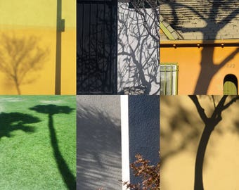 Shadows Trees 1, Photograph, Poster, Colorful, Architecture, Los Angeles, Popart, Art Print, Graphic, Collage, Street