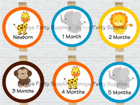 12 month a year