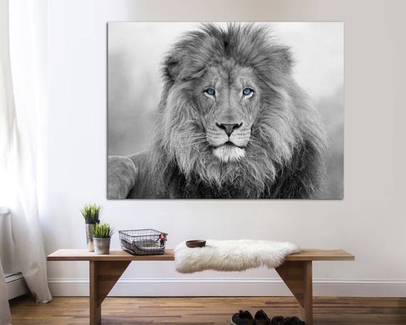 Black and White Blue Eyed Lion canvas print Interior