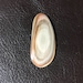 Royal Imperial Jasper Cabochon