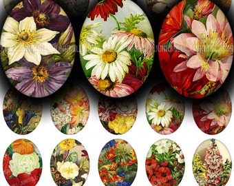 FLORAL LITHOGRAPHS - Digital Printable Collage Sheet - 30 x 40 mm Ovals - Vintage Botanicals, Shabby Cottage Chic Flowers, Digital Download