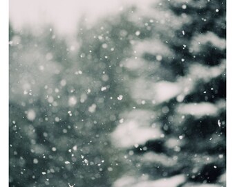 Woodland Art - Winter Photograph - Snow Photography - Winter Daydream #3 - Pine Tree - Snow Art- Winter Art - Michigan Art - Fine Art Photo