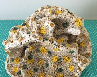 sea sponge, soft coral, coastal, marina, polka dot