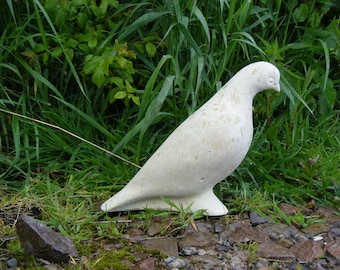 Stone Dove by Christine Baxter