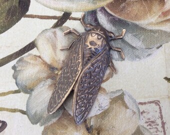 Cicada antiqued brass insect flourish 1 pc