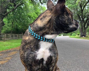 fishtailed dog collars