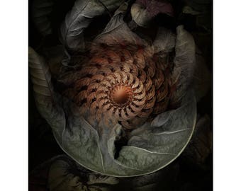 Fine Art Print - Mandala from nature - Revocation Partus 2