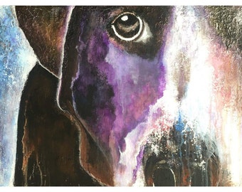 A Dog Thinks & Then Dreams