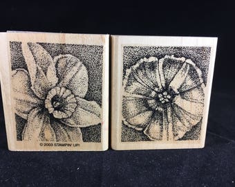 Floral Stamps Stampin up Rubber Stamps Set of 2 Used