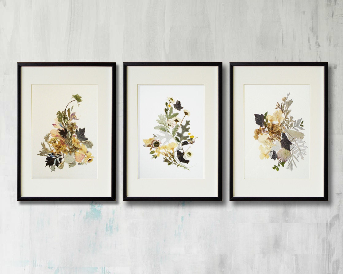 Set of 3 framed prints Plant art Contemporary art Dry flower