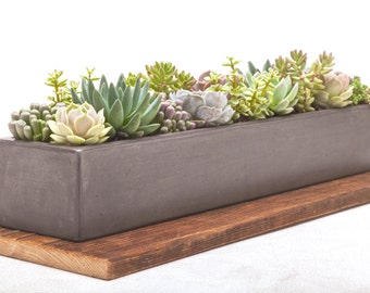 Concrete Planter, Concrete, Planter, Succulent Planter, Outdoor Planter, Indoor Planter, Herb Planter, Cement Planter